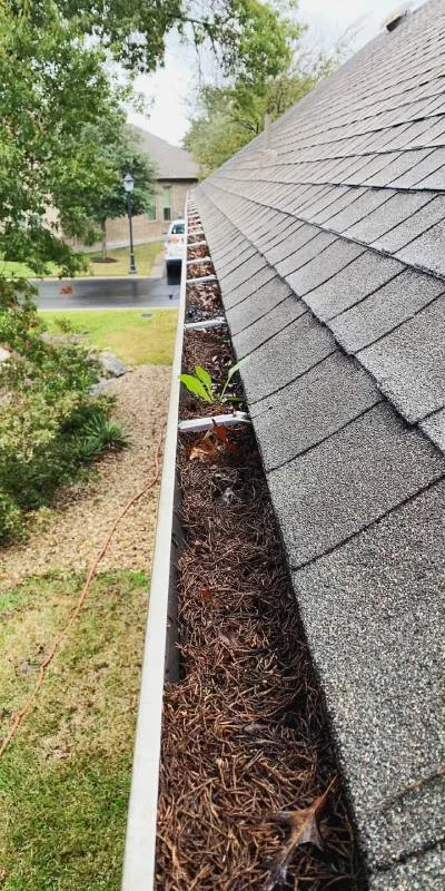 A gutter packed with debris before Somerville Roofing cleaned it
