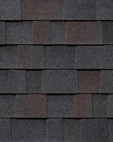 Malarkey Vista AR shingle in Black Oak